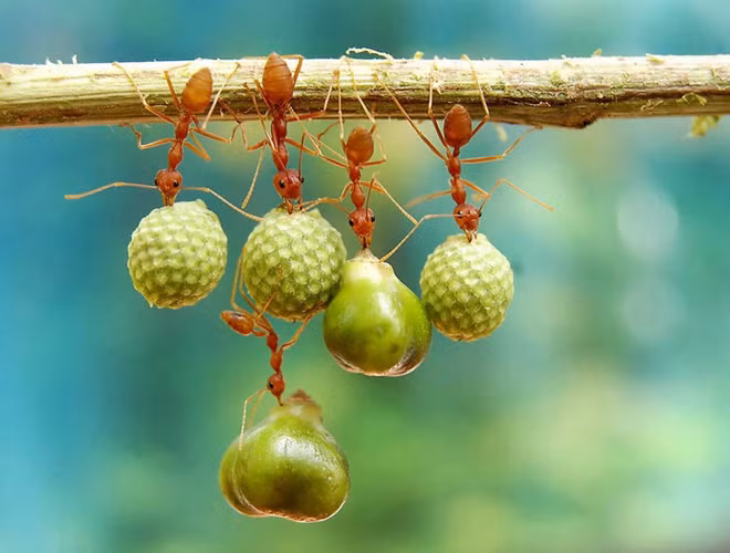 Những khoảnh khắc cực ấn tượng cho thấy vẻ đẹp huyền bí trong thế giới động vật - Ảnh 7.