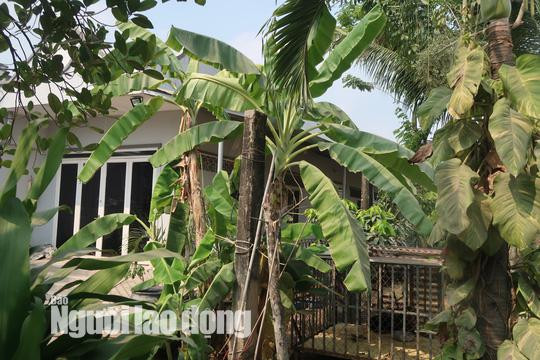 tin tuc 24h: can canh nhieu nguoi dot nhap vao nha hoang noi tuan khi tung an nau - 17