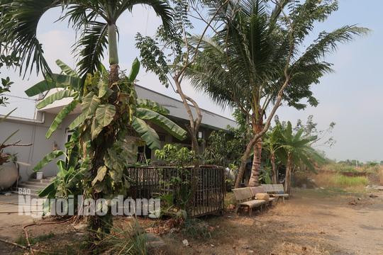 tin tuc 24h: can canh nhieu nguoi dot nhap vao nha hoang noi tuan khi tung an nau - 12