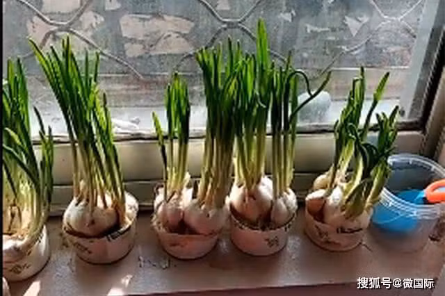 Nhìn thấy mâm cơm của mẹ, cậu bé vội vàng chạy ra cửa sổ rồi bật khóc nức nở