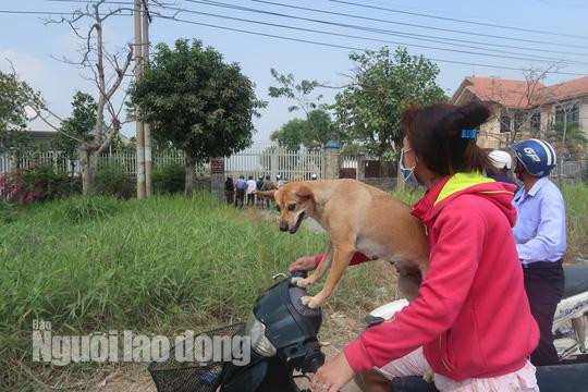 tin tuc 24h: can canh nhieu nguoi dot nhap vao nha hoang noi tuan khi tung an nau - 3