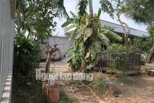 tin tuc 24h: can canh nhieu nguoi dot nhap vao nha hoang noi tuan khi tung an nau - 13
