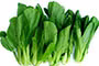 cac-loai-rau-cu-dau-bang-de-nhiem-thuoc-bao-ve-thuc-vat-6