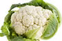 cac-loai-rau-cu-dau-bang-de-nhiem-thuoc-bao-ve-thuc-vat-8