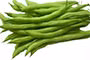cac-loai-rau-cu-dau-bang-de-nhiem-thuoc-bao-ve-thuc-vat