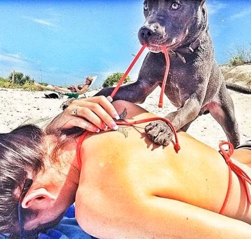 10-anh-hai-hot-nhat-facebook-trong-ngay-6