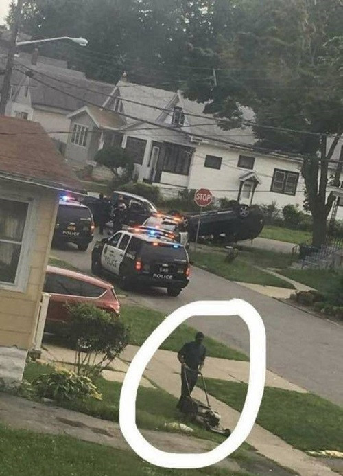 Không gì quan trọng bằng cắt cỏ.