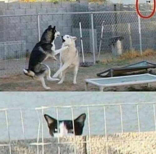 Đỉnh cao hóng chuyện.