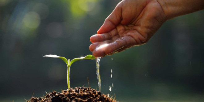 Điểm thi của con kém gần nhất lớp, ông bố không mắng mà can thiệp giúp con vươn lên số 1 - Ảnh 2. Điểm thi của con kém gần nhất lớp, ông bố không mắng mà can thiệp giúp con vươn lên số 1 - Ảnh 2.