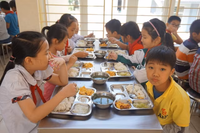 Hướng tới cuộc sống xanh