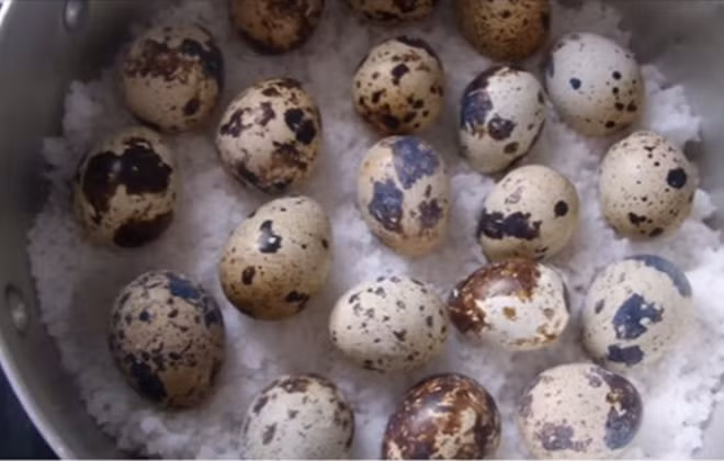 1500443822_meo-luoc-trung-cut