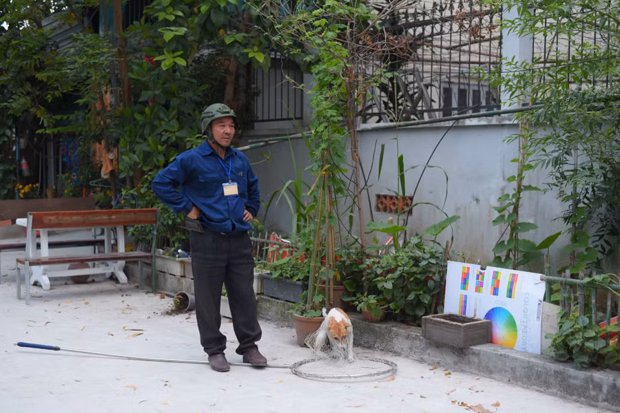 Một chú chó bị bắt.