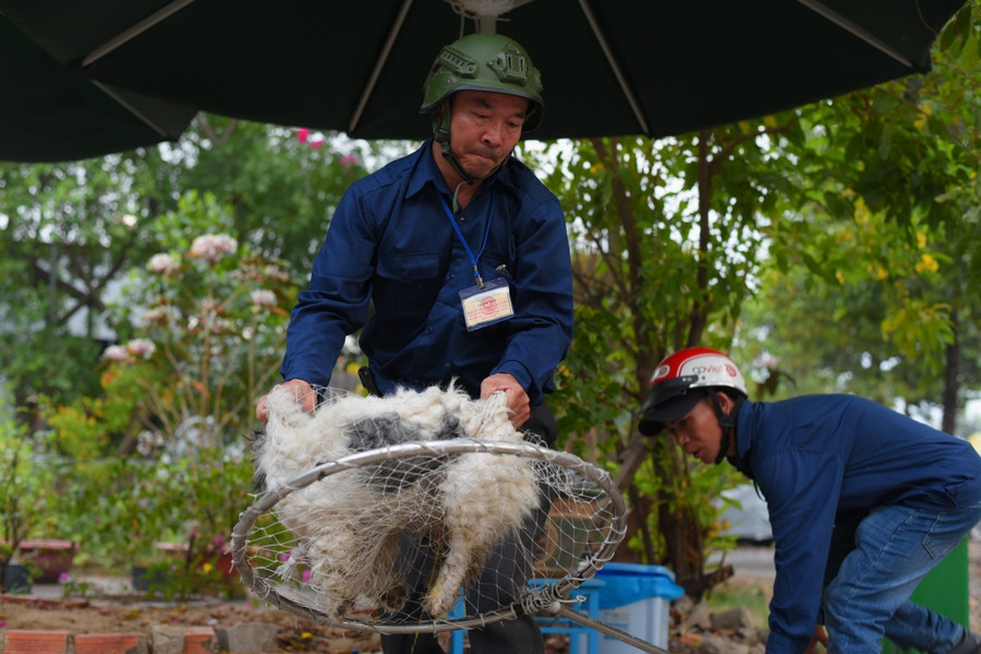 Chú chó bị vây bắt trong vòng vài giây. Chú chó bị vây bắt trong vòng vài giây.