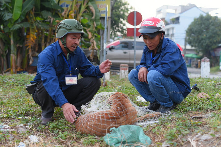 Chú chó phóng uế bị bắt. Chú chó phóng uế bị bắt.