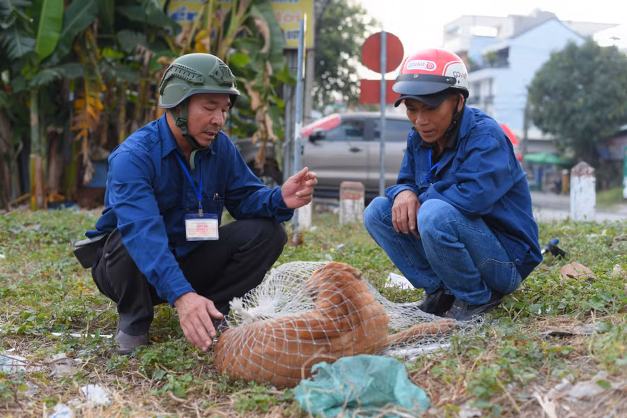 Chú chó phóng uế bị bắt.