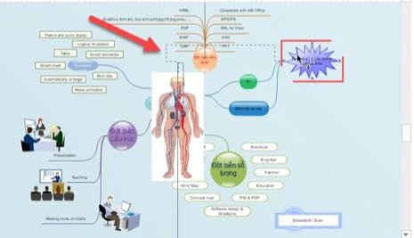 8 bước đơn giản để thiết kế một sơ đồ tư duy bằng công cụ Edraw Mind Map