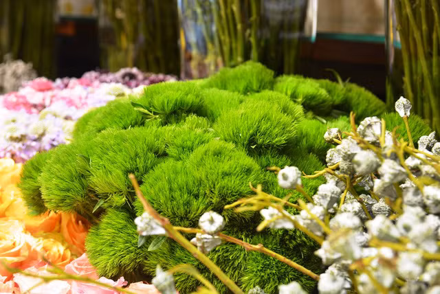 Hoa Green Wicky mới lạ cho mùa lễ 20/10 năm nay.