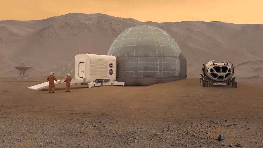 Cuộc sống muôn màu