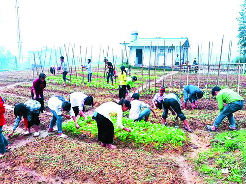 Học sinh bán trú Trường THCS Nậm Cang (Sa Pa, Lào Cai) cùng nhau chăm sóc vườn rau xanh để phục vụ cho bữa ăn của năm học mới Học sinh bán trú Trường THCS Nậm Cang (Sa Pa, Lào Cai) cùng nhau chăm sóc vườn rau xanh để phục vụ cho bữa ăn của năm học mới