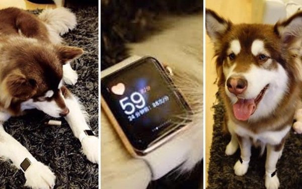 nhung cau am an choi &#34;bat via&#34; nhat cbiz: co nguoi cha me mang ca danh tieng ra &#34;cuu mang&#34; - 12