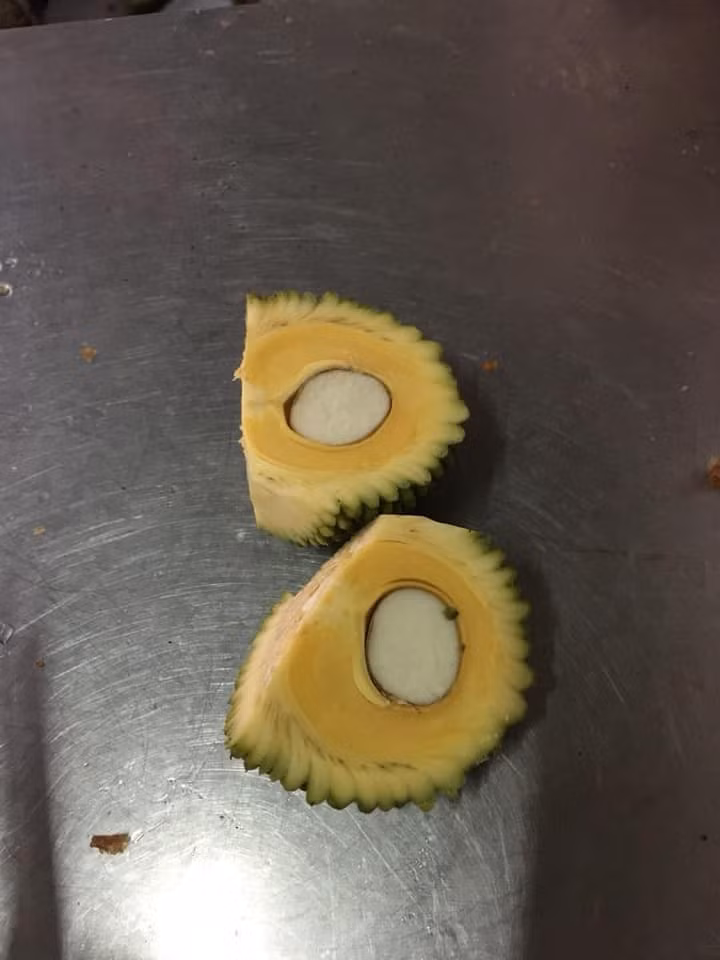 Than thở cây mít chỉ ra quả tí hon sau 4 năm chăm bẵm, ai ngờ bổ ra ai cũng xuýt xoa ảnh 9 Than thở cây mít chỉ ra quả tí hon sau 4 năm chăm bẵm, ai ngờ bổ ra ai cũng xuýt xoa ảnh 9