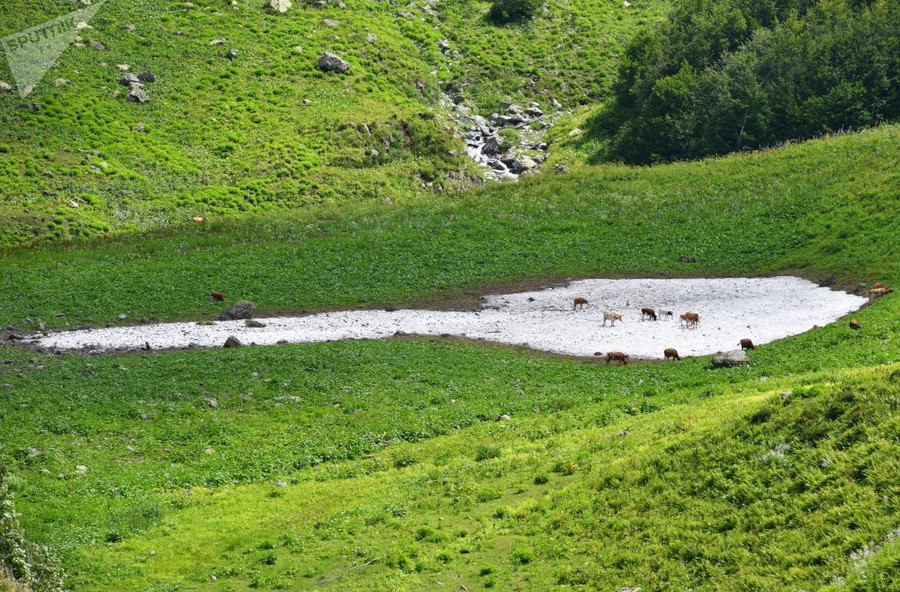 Chiêm ngưỡng thiên nhiên kỳ vĩ trong Vườn quốc gia Rista ở Abkhazia Chiêm ngưỡng thiên nhiên kỳ vĩ trong Vườn quốc gia Rista ở Abkhazia
