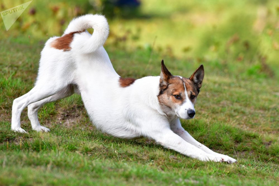 Chiêm ngưỡng thiên nhiên kỳ vĩ trong Vườn quốc gia Rista ở Abkhazia Chiêm ngưỡng thiên nhiên kỳ vĩ trong Vườn quốc gia Rista ở Abkhazia