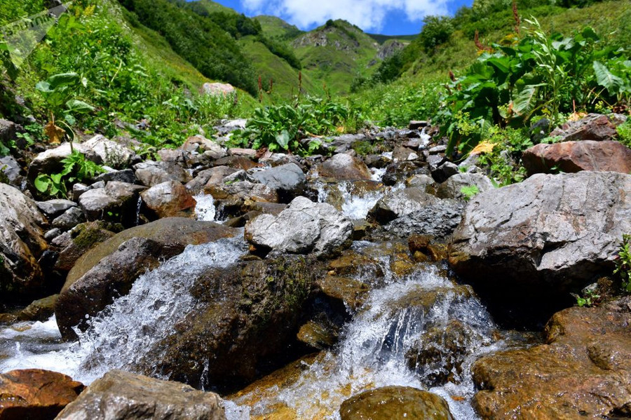 Chiêm ngưỡng thiên nhiên kỳ vĩ trong Vườn quốc gia Rista ở Abkhazia Chiêm ngưỡng thiên nhiên kỳ vĩ trong Vườn quốc gia Rista ở Abkhazia