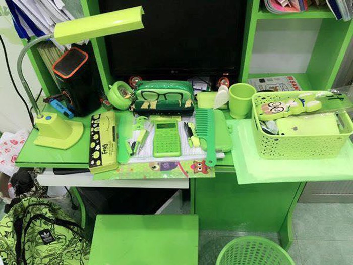 "Gia tài 10 năm" của nữ sinh trường Y dược "cuồng" màu xanh lá ảnh 4 "Gia tài 10 năm" của nữ sinh trường Y dược "cuồng" màu xanh lá ảnh 4