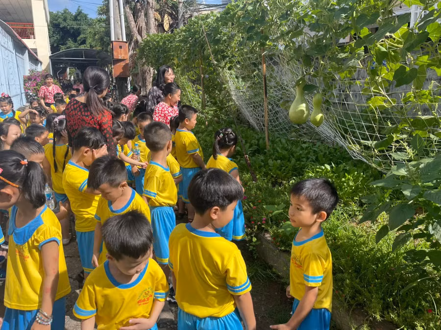 Trẻ mầm non tham quan học tập tại vườn rau trải nghiệm.