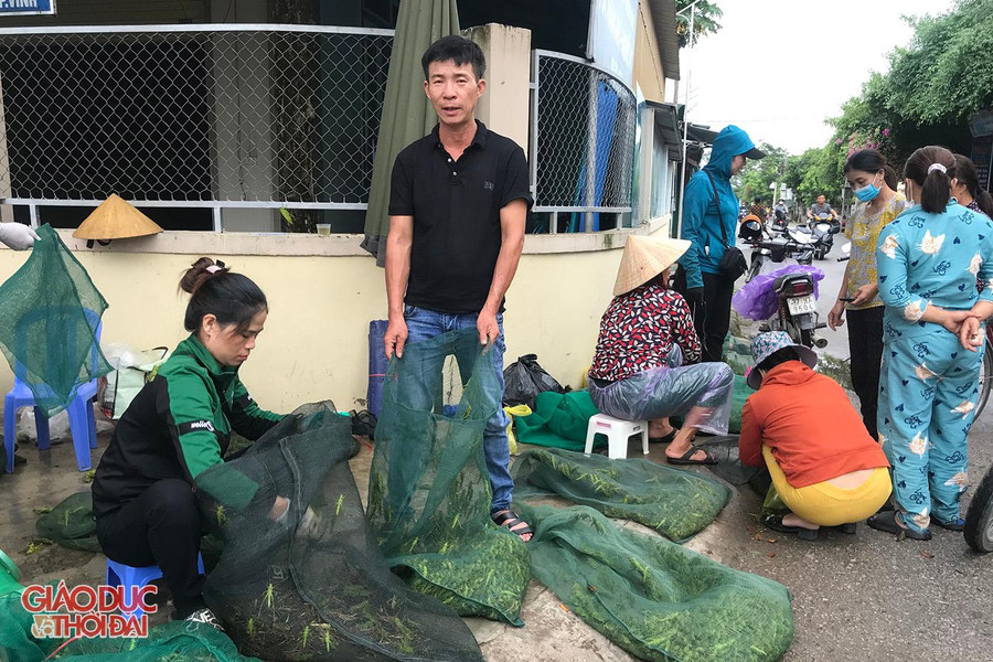 Khu chợ cóc bán cào cào xanh ở xã Nghi Kim, thành phố Vinh. Khu chợ cóc bán cào cào xanh ở xã Nghi Kim, thành phố Vinh.
