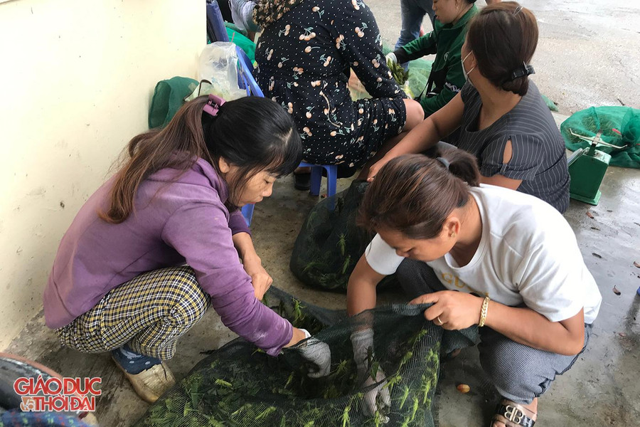 "Tôm bay" ở đây đều còn tươi sống. "Tôm bay" ở đây đều còn tươi sống.