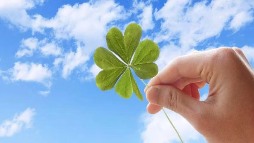 6 con giáp đón liên tiếp tin vui về tài lộc trong tuần mới từ 7/11 đến 13/11