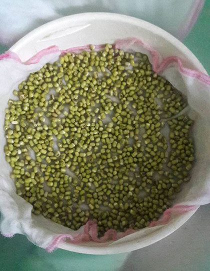 lam-gia-do-khong-can-tuoi-nuoc