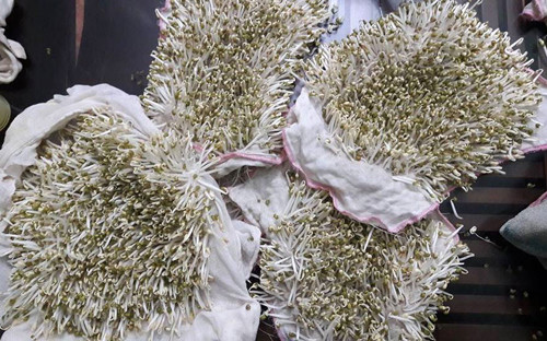 lam-gia-do-khong-can-tuoi-nuoc-2