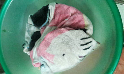 lam-gia-do-khong-can-tuoi-nuoc-1