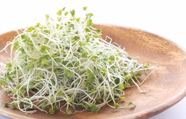 9 loại thực phẩm phổ biến dễ gây ngộ độc-9