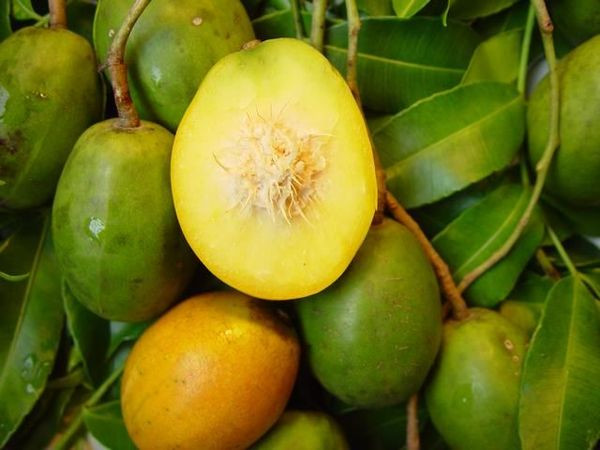 Loại quả mùa hè giá rẻ như bèo là thần dược sức khỏe hình ảnh 2 loai qua mua he gia re nhu beo la than duoc suc khoe hinh anh 2
