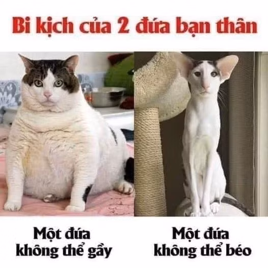 Bi kịch của hai đứa bạn thân