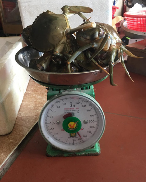 Trọng lượng thật của cua chỉ còn 850g. Trọng lượng thật của cua chỉ còn 850g.