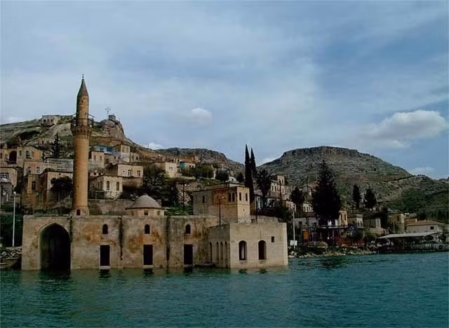 Nơi duy nhất trên thế giới tồn tại hoa hồng đen huyền bí-1