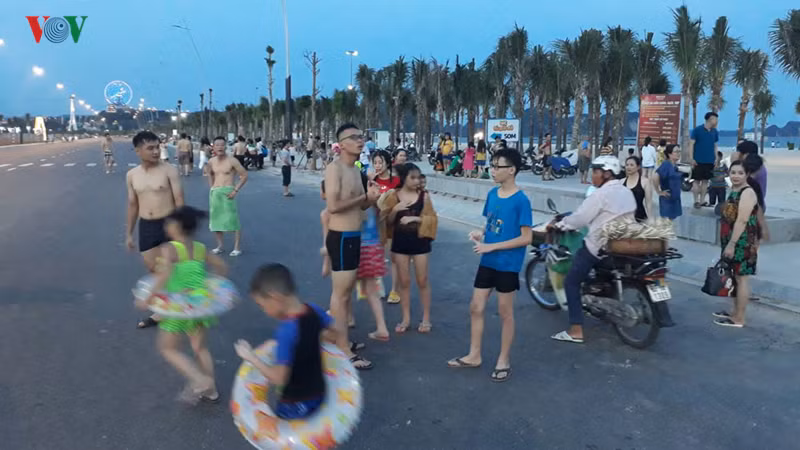 cam luu thong tuyen bao bien dep nhat ha long: giam su hap dan hinh 3