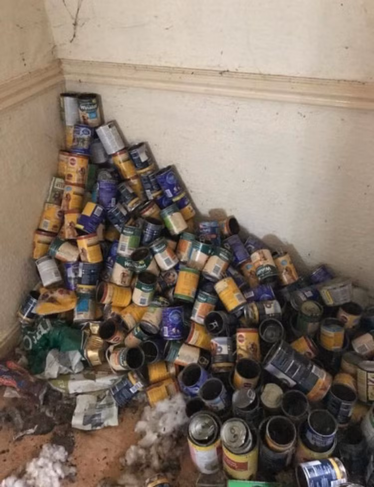 Hộp đựng thực phẩm đóng sẵn chất đống. Khách thuê bất ngờ chuyển đi, chủ trọ ngã khuỵu khi chứng kiến cảnh bên trong