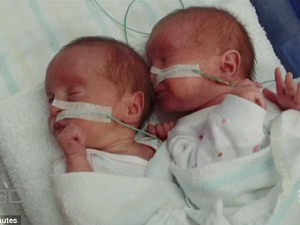 nhung-cau-chuyen-bat-ngo-ve-thu-tinh-trong-ong-nghiem