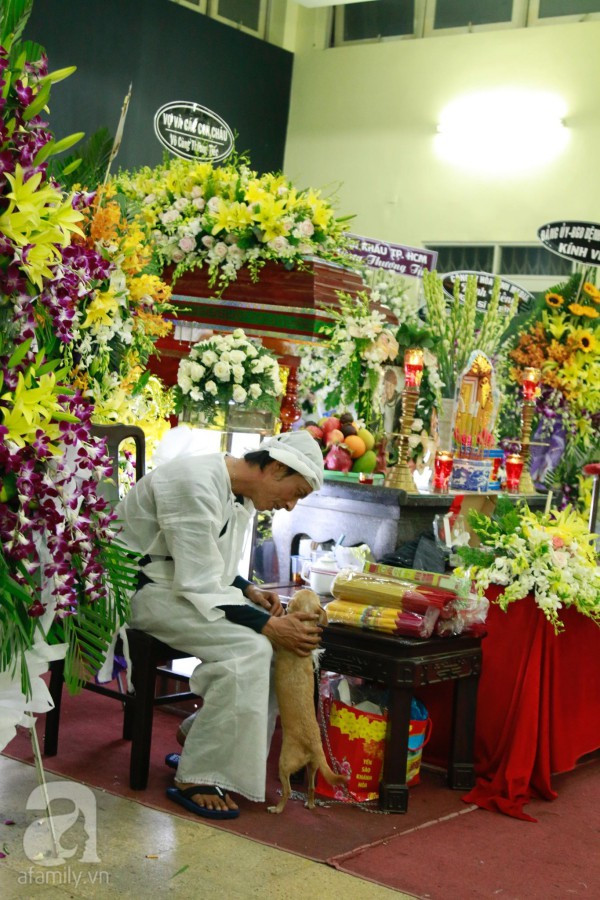 Rơi nước mắt với hình ảnh chú cún nhỏ buộc khăn tang trắng, quanh quẩn không rời bên linh cữu cố nghệ sĩ Lê Bình - Ảnh 6. Rơi nước mắt với hình ảnh chú cún nhỏ buộc khăn tang trắng, quanh quẩn không rời bên linh cữu cố nghệ sĩ Lê Bình - Ảnh 6.