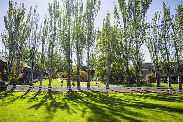 Những ngôi trường đẹp như lâu đài Disney land ảnh 4 di hoc ma tuong den disney land vi nhung ngoi truong dep nhu lau dai - 5