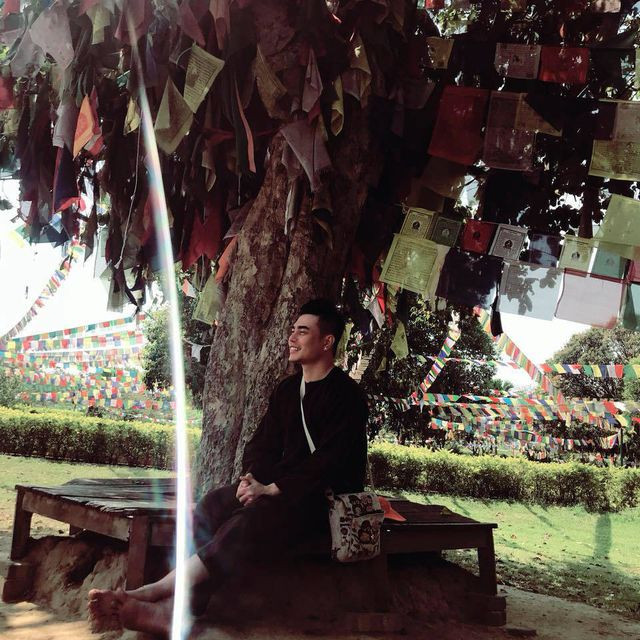 Chạy đua cát-xê, đồ hiệu xe sang và thực tế khắc nghiệt sau ánh hoàng quang showbiz chay dua cat xe do hieu xe sang va thuc te khac nghiet sau anh hoang quang showbiz