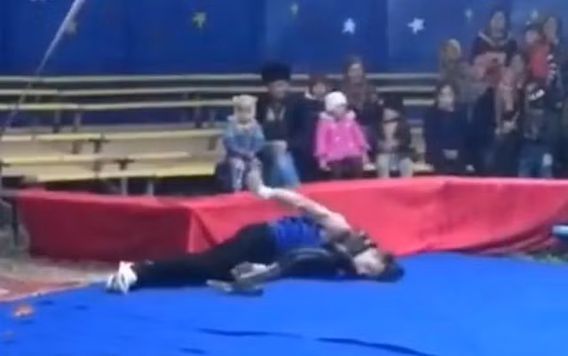 Huấn luyện viên xiếc thú ngã quỵ dưới đất trước sự chứng kiến của khán giả ở Nga. Ảnh: east2west.