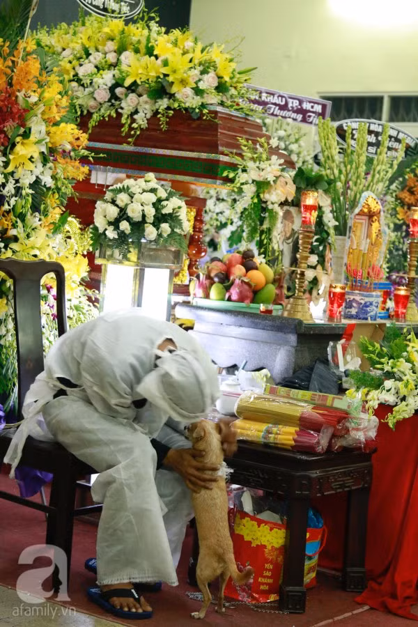 Rơi nước mắt với hình ảnh chú cún nhỏ buộc khăn tang trắng, quanh quẩn không rời bên linh cữu cố nghệ sĩ Lê Bình - Ảnh 5.