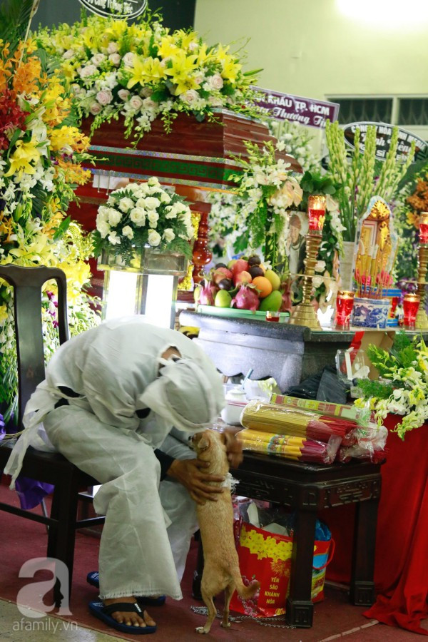 Rơi nước mắt với hình ảnh chú cún nhỏ buộc khăn tang trắng, quanh quẩn không rời bên linh cữu cố nghệ sĩ Lê Bình - Ảnh 5. Rơi nước mắt với hình ảnh chú cún nhỏ buộc khăn tang trắng, quanh quẩn không rời bên linh cữu cố nghệ sĩ Lê Bình - Ảnh 5.